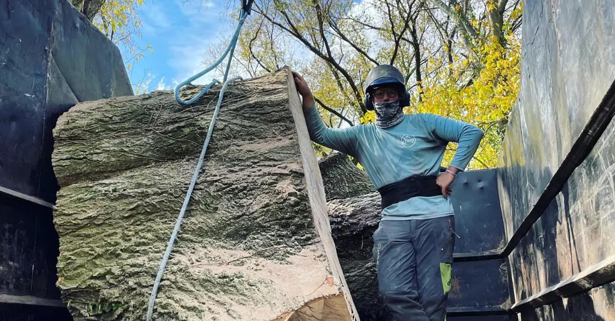 Comprehensive Land Clearing