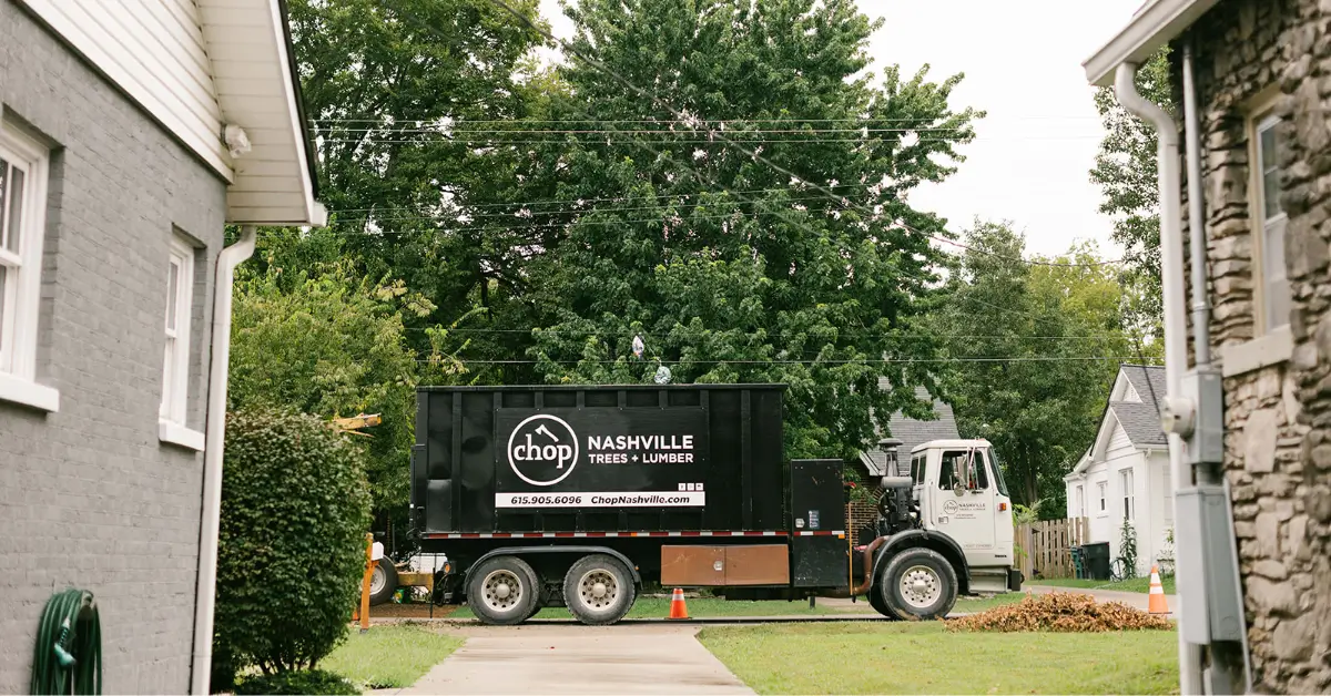 Professional Tree Inventory Service