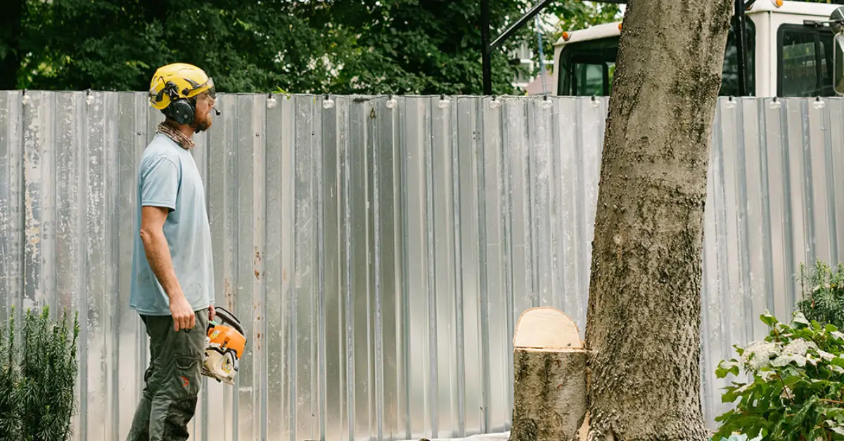 Expert Stump Removal or Grinding