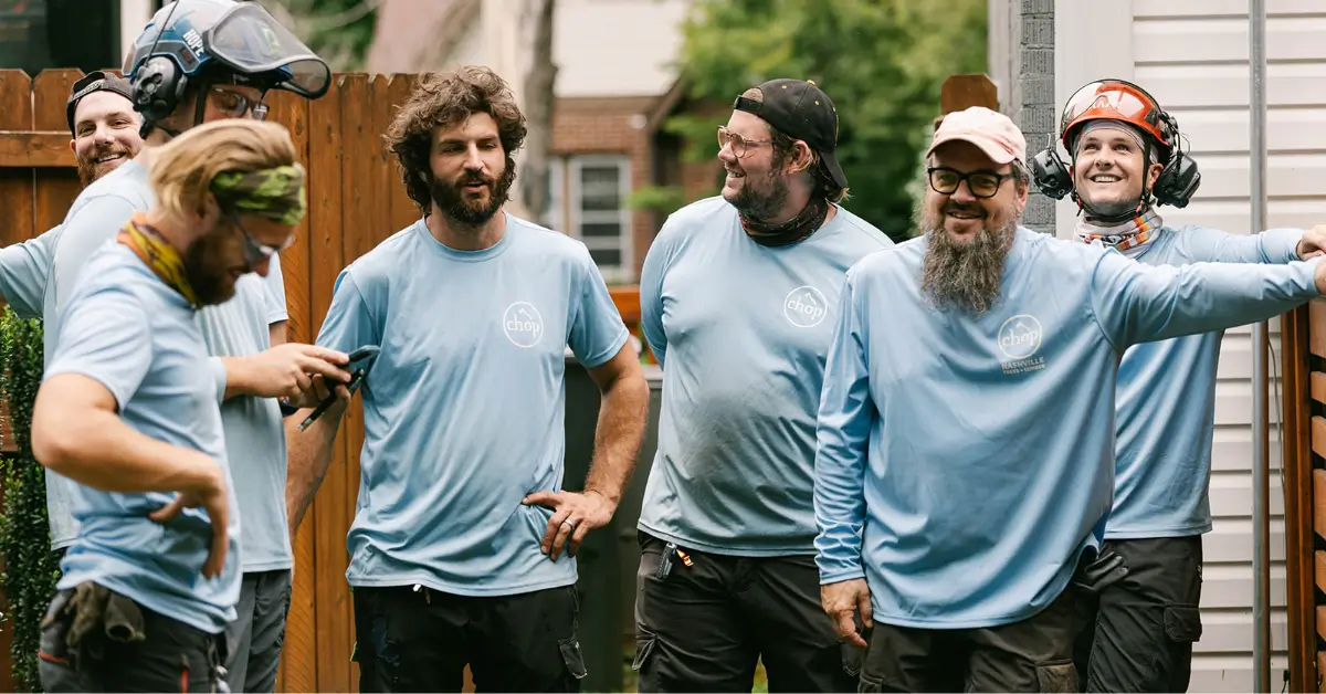 Affordable Tree Service In Nashville, TN & Nearby Areas