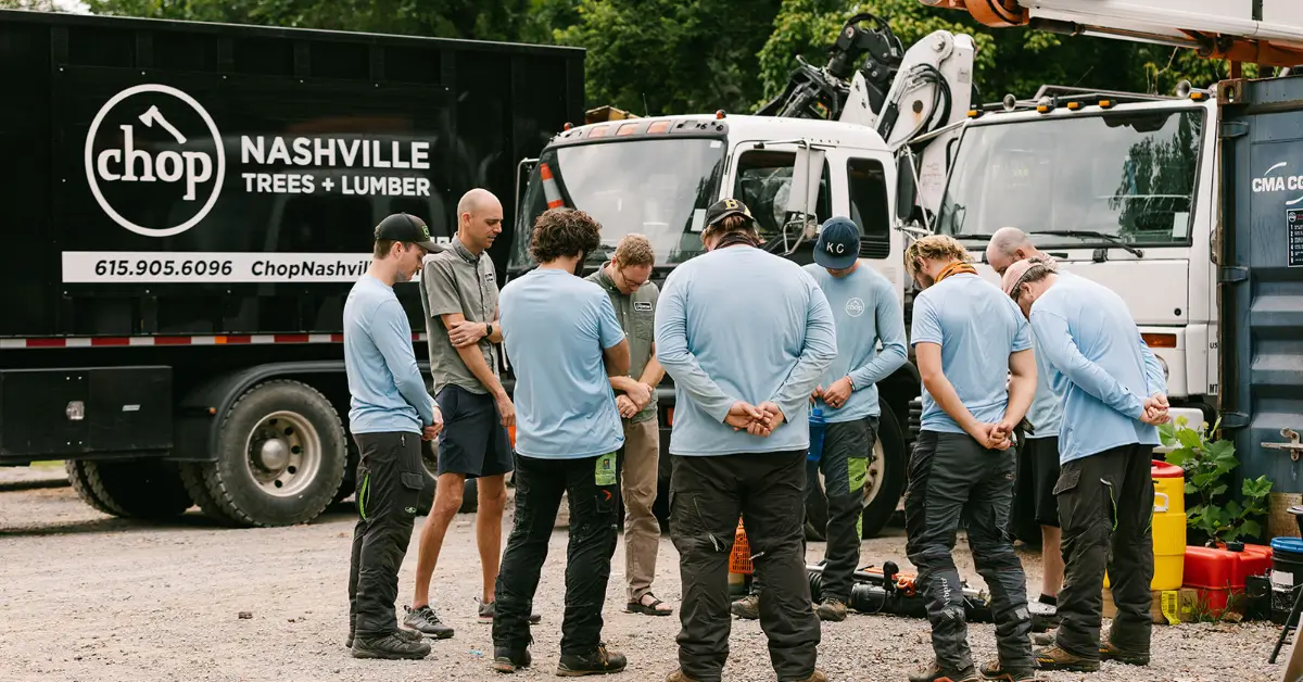 Professional Tree Service Near Me In Nashville, TN