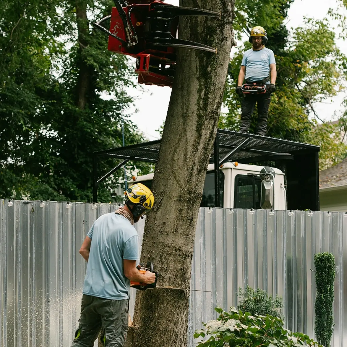 How Close is Too Close?