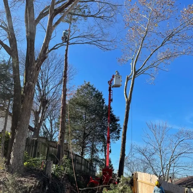 Nashville Metro Water